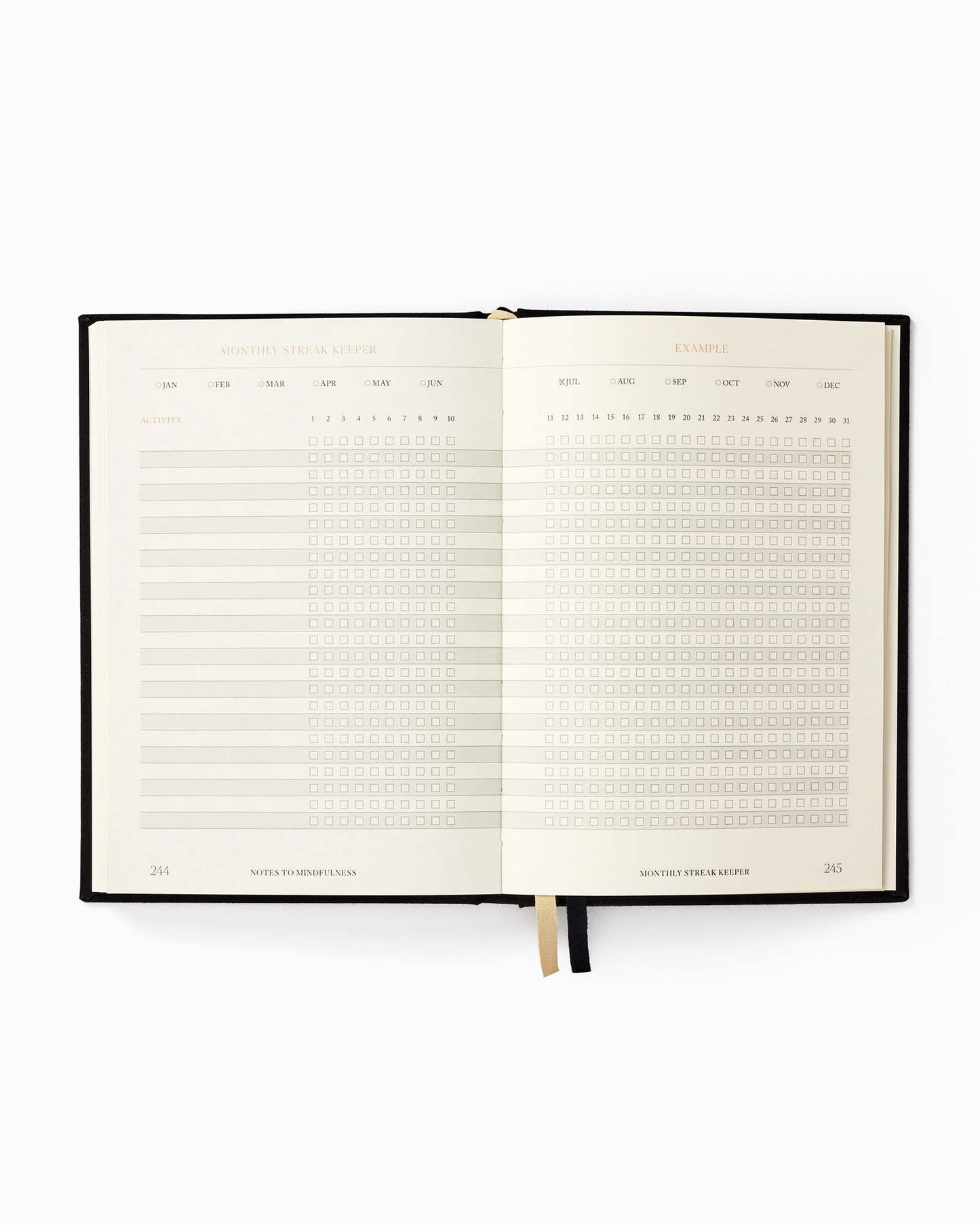 Notes to Mindfulness Journal, page detail