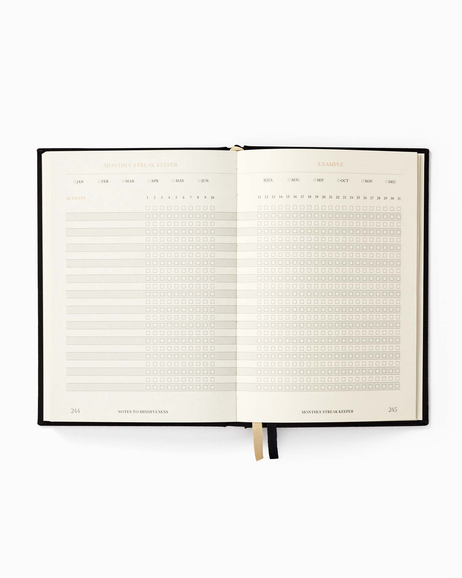 Notes to Mindfulness Journal, page detail