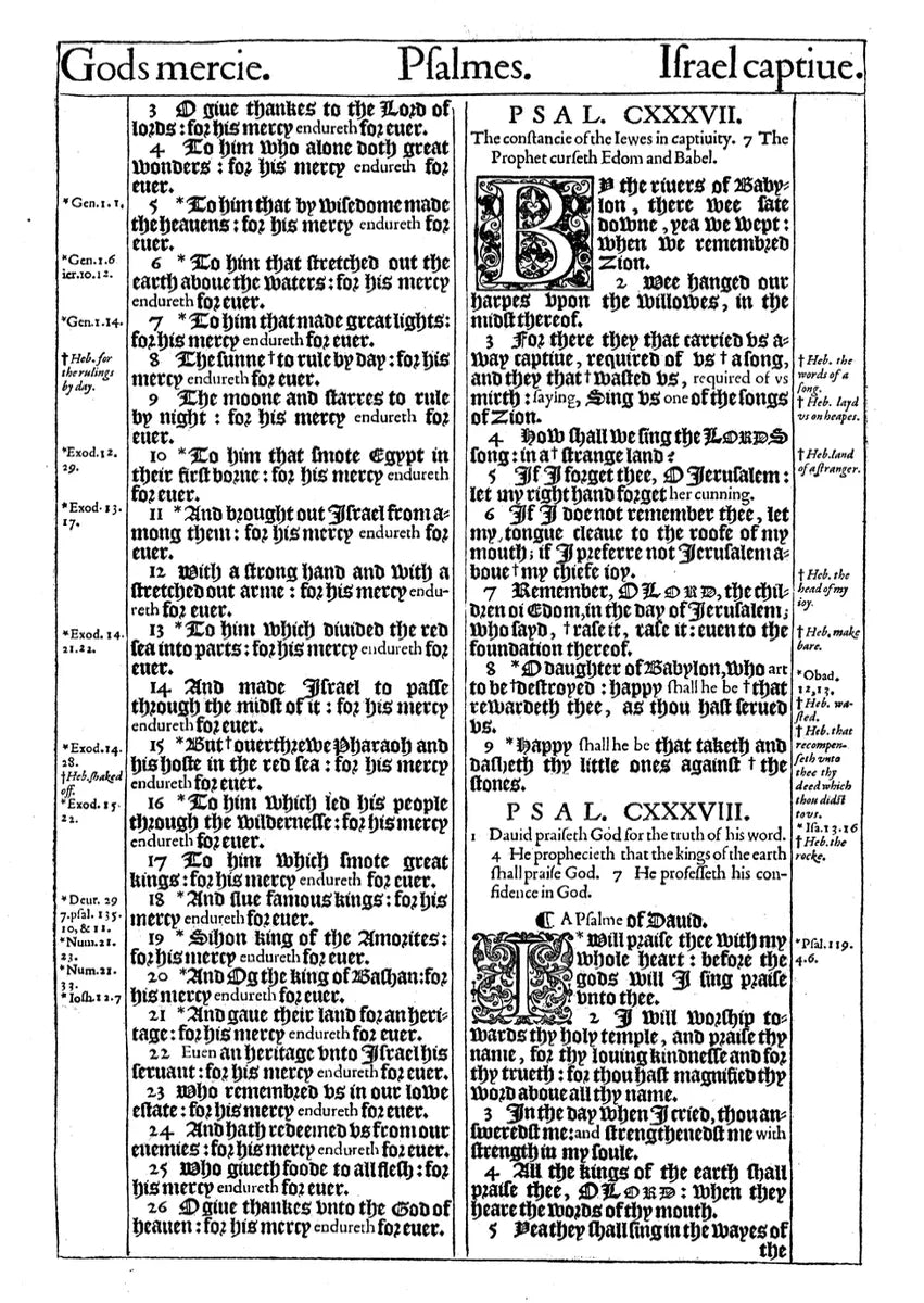 Tan 1611 King James Bible, full view