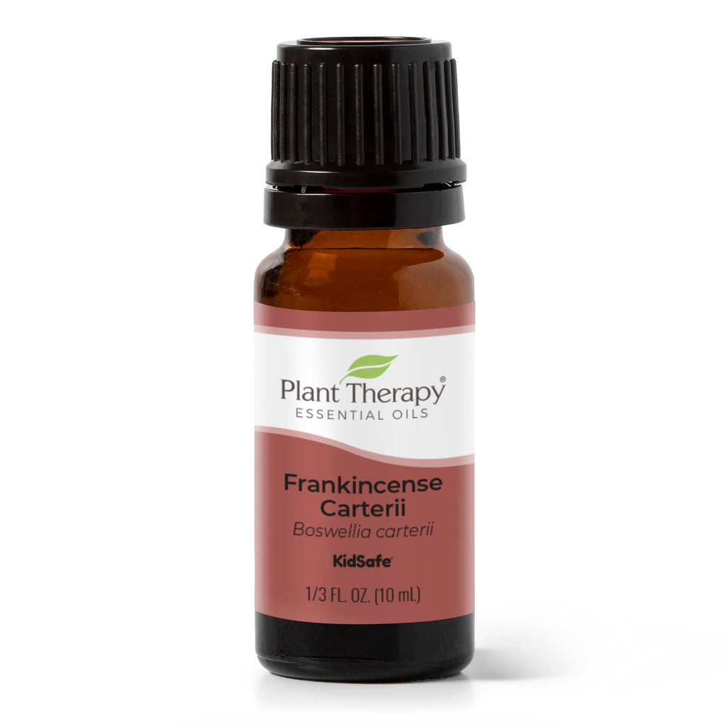 Plant Therapy Frankincense Carterii Essential Oil 100% Pure Undiluted Natural Aromatherapy Therapeutic Grade 10 mL (1/3 oz)