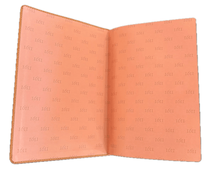 Tan KJV Bible, gilded page edges