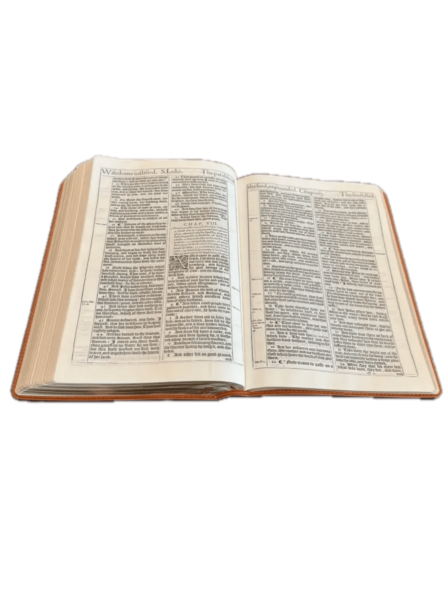 1611 King James Bible tan, page detail